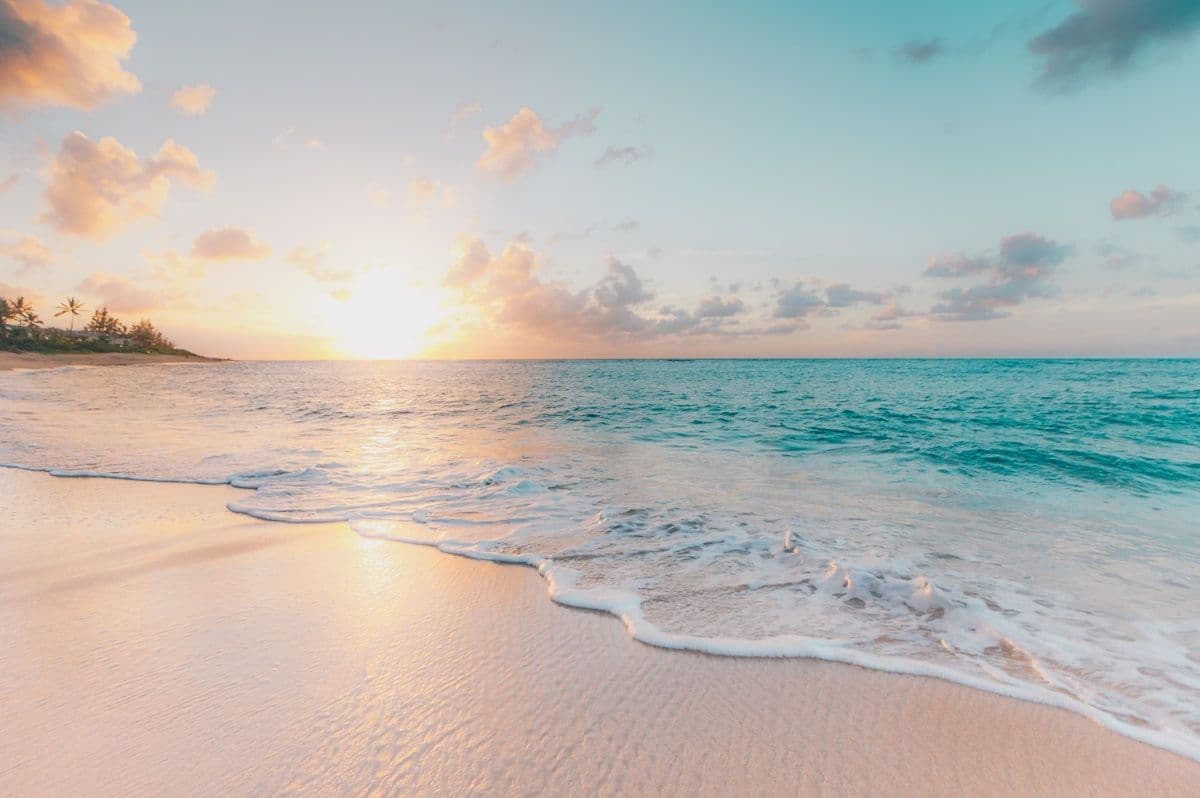 Sunny beach scene with palm trees and clear blue water
