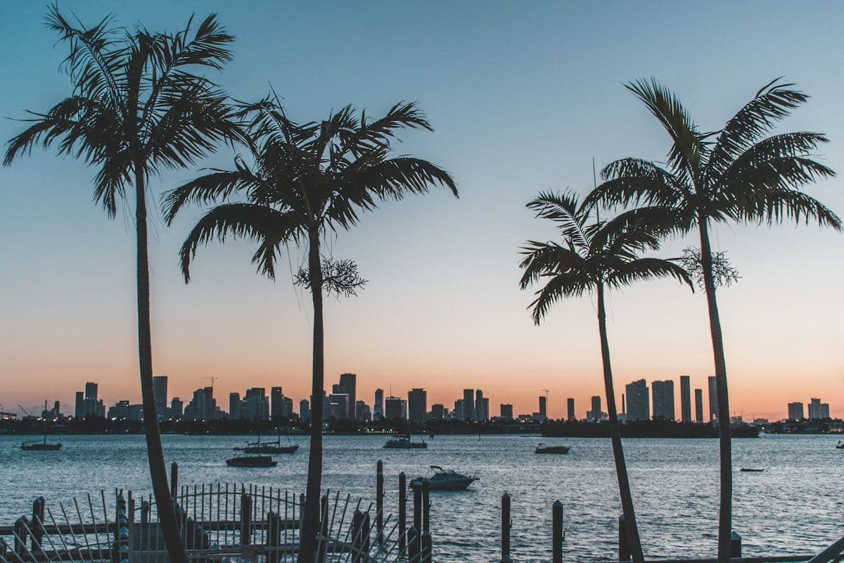 Florida coastline with palm trees and waterfront properties